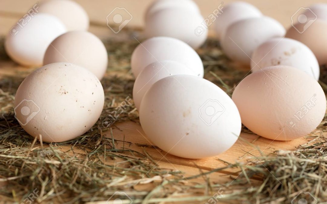 Huevos del campo